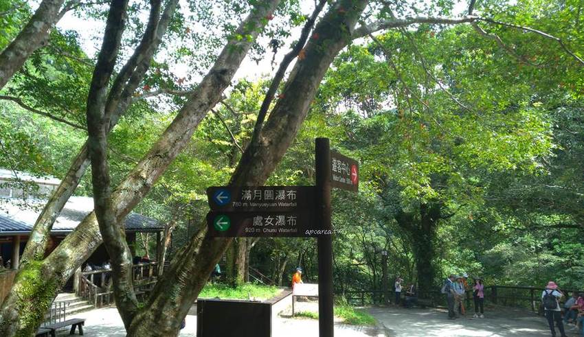 滿月圓國家森林遊樂區。天然闊葉林、處女瀑布、滿月圓瀑布,新北景點親子旅遊好去處 - 蘋果話日常