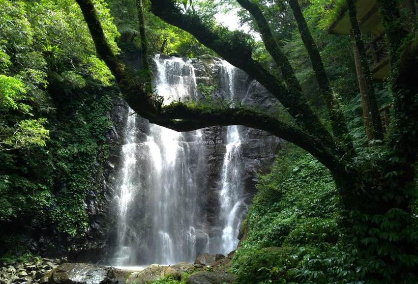 滿月圓國家森林遊樂區。天然闊葉林、處女瀑布、滿月圓瀑布,新北景點親子旅遊好去處 - 蘋果話日常