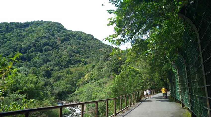 滿月圓國家森林遊樂區。天然闊葉林、處女瀑布、滿月圓瀑布,新北景點親子旅遊好去處 - 蘋果話日常