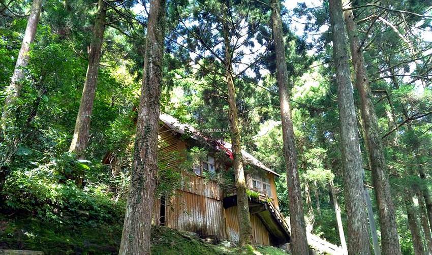 滿月圓國家森林遊樂區。天然闊葉林、處女瀑布、滿月圓瀑布,新北景點親子旅遊好去處 - 蘋果話日常