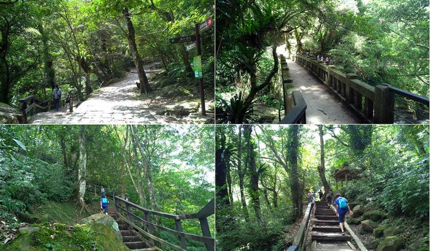 滿月圓國家森林遊樂區。天然闊葉林、處女瀑布、滿月圓瀑布,新北景點親子旅遊好去處 - 蘋果話日常