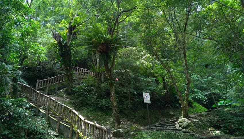 滿月圓國家森林遊樂區。天然闊葉林、處女瀑布、滿月圓瀑布,新北景點親子旅遊好去處 - 蘋果話日常