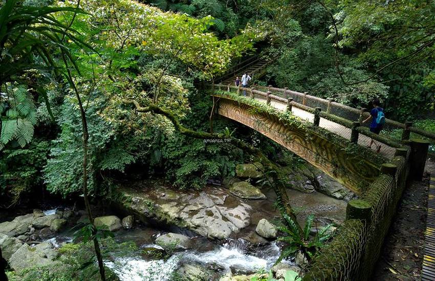 滿月圓國家森林遊樂區。天然闊葉林、處女瀑布、滿月圓瀑布,新北景點親子旅遊好去處 - 蘋果話日常