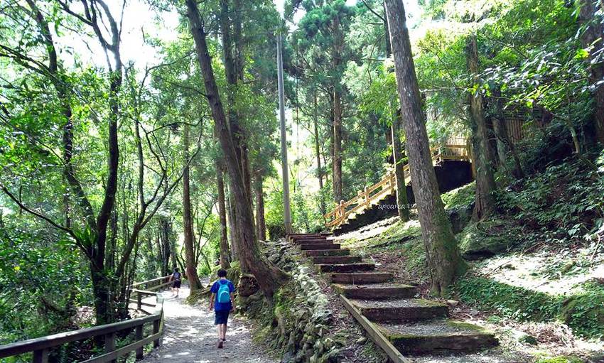 滿月圓國家森林遊樂區。天然闊葉林、處女瀑布、滿月圓瀑布,新北景點親子旅遊好去處 - 蘋果話日常