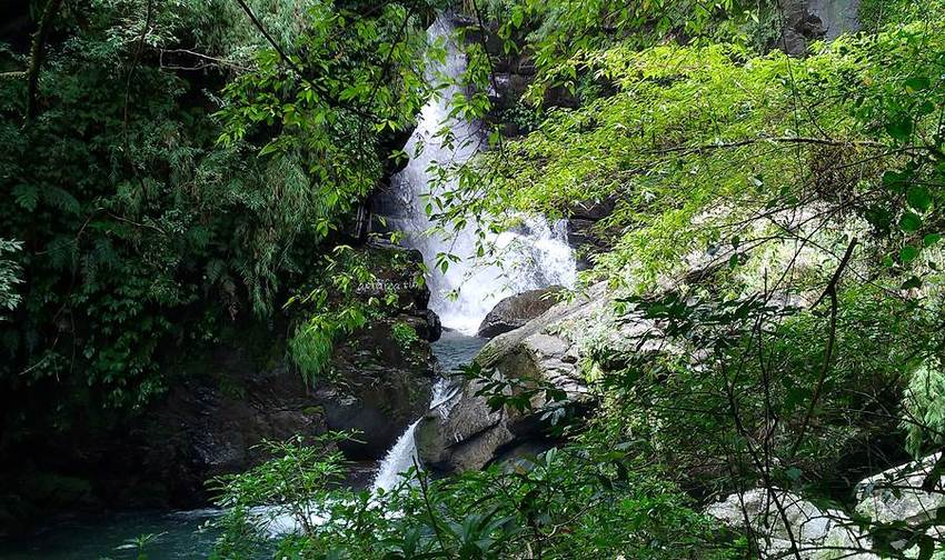 滿月圓國家森林遊樂區。天然闊葉林、處女瀑布、滿月圓瀑布,新北景點親子旅遊好去處 - 蘋果話日常