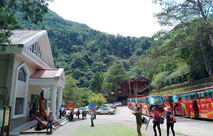 滿月圓國家森林遊樂區。天然闊葉林、處女瀑布、滿月圓瀑布,新北景點親子旅遊好去處 - 蘋果話日常