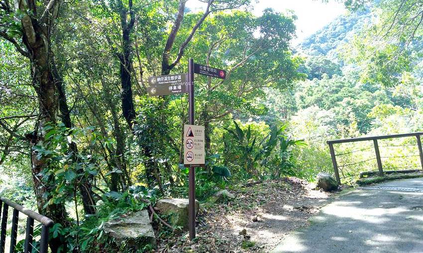 滿月圓國家森林遊樂區。天然闊葉林、處女瀑布、滿月圓瀑布,新北景點親子旅遊好去處 - 蘋果話日常