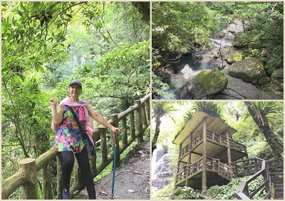 中壢社大週四趴趴走-三峽景點[滿月圓國家森林遊樂區] 健走逍遙遊