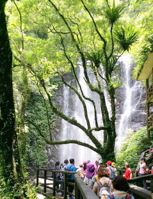 中壢社大週四趴趴走-三峽景點[滿月圓國家森林遊樂區] 健走逍遙遊