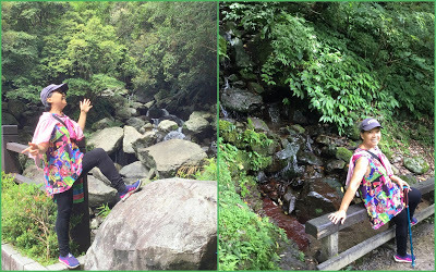 中壢社大週四趴趴走-三峽景點[滿月圓國家森林遊樂區] 健走逍遙遊