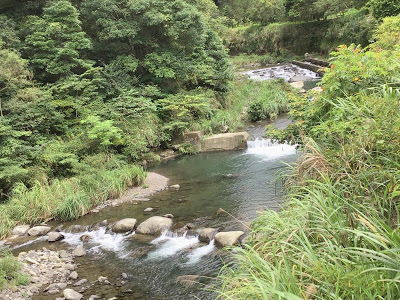 中壢社大週四趴趴走-三峽景點[滿月圓國家森林遊樂區] 健走逍遙遊