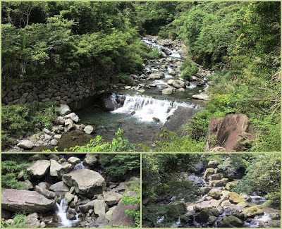 中壢社大週四趴趴走-三峽景點[滿月圓國家森林遊樂區] 健走逍遙遊