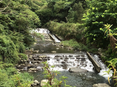 中壢社大週四趴趴走-三峽景點[滿月圓國家森林遊樂區] 健走逍遙遊