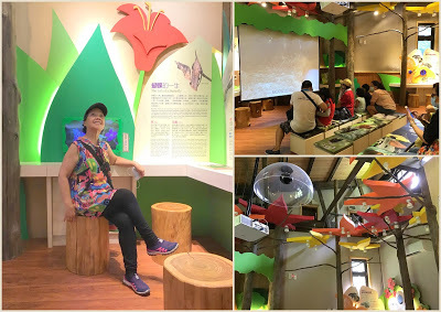 中壢社大週四趴趴走-三峽景點[滿月圓國家森林遊樂區] 健走逍遙遊