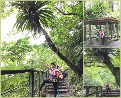 中壢社大週四趴趴走-三峽景點[滿月圓國家森林遊樂區] 健走逍遙遊
