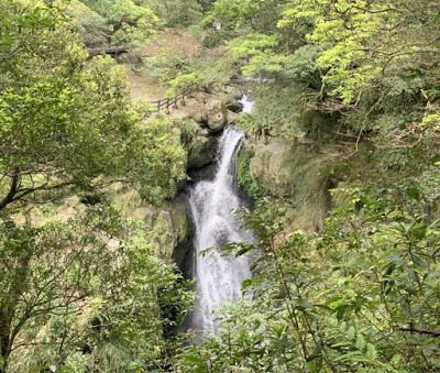 中壢社大週四趴趴走-三峽景點[滿月圓國家森林遊樂區] 健走逍遙遊