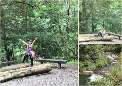 中壢社大週四趴趴走-三峽景點[滿月圓國家森林遊樂區] 健走逍遙遊