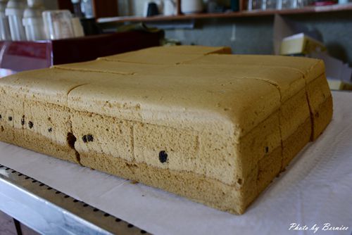 1030 4-鼎泰興07.jpg