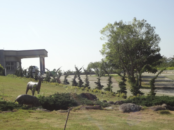 鹿野高台：1020119[官本金文愛台灣]鹿野高台美麗的大高原就算沒有熱氣球加持依然綠意盎然