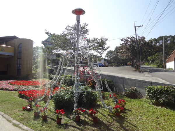 鹿野高台：1020119[官本金文愛台灣]鹿野高台美麗的大高原就算沒有熱氣球加持依然綠意盎然