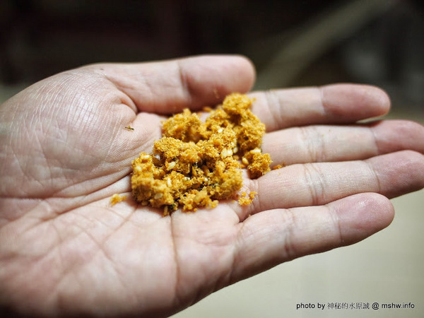 味益食品行：【食記】屏東東港-味益食品專業鬆品專賣店-鮪魚鬆,花殼脆鬆 : 傳承古法技藝,外銷歐洲的獨特肉品