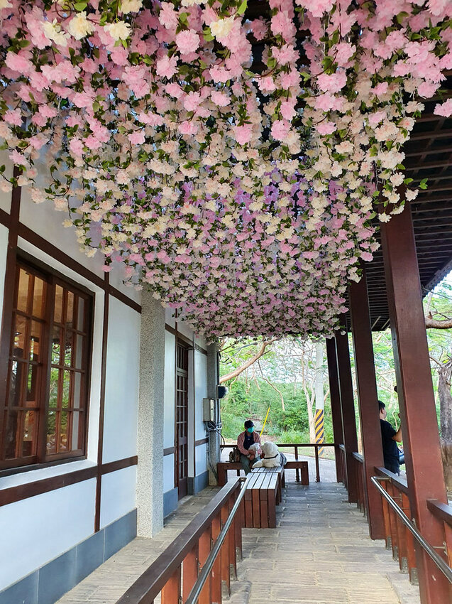 四重溪溫泉一日遊 漫步農場 手作愛玉｜DIY紅仁鴨蛋｜暖胃羊肉爐