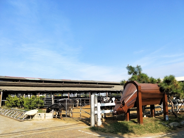禾家牧場：【彰化市景點】禾家牧場~奶酪和霜淇淋都很香醇好吃，免費順遊景點