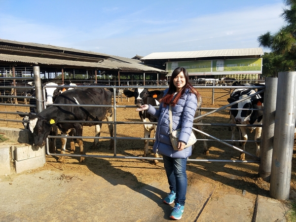 禾家牧場：【彰化市景點】禾家牧場~奶酪和霜淇淋都很香醇好吃，免費順遊景點