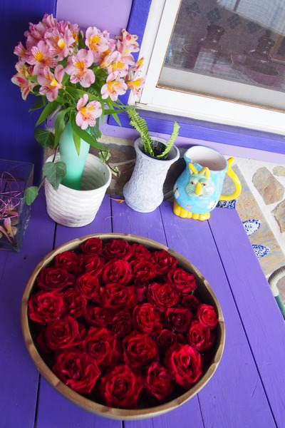 【南投‧清境】瑪格麗特-紫屋餐廳