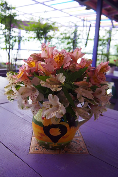 【南投‧清境】瑪格麗特-紫屋餐廳