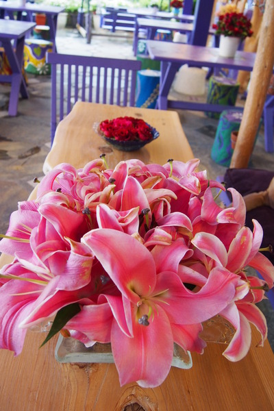 【南投‧清境】瑪格麗特-紫屋餐廳