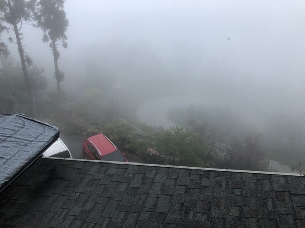 瑪格麗特花園霧上咖啡館：南投清境~瑪格麗特 紫屋餐廳~夢幻浪漫的紫色裝飾~繽紛樓梯與搖椅~拍照打卡的好地方~景觀餐廳~