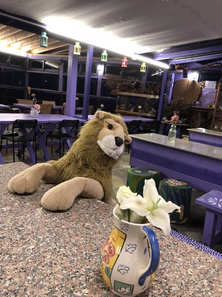 瑪格麗特花園霧上咖啡館：南投清境~瑪格麗特 紫屋餐廳~夢幻浪漫的紫色裝飾~繽紛樓梯與搖椅~拍照打卡的好地方~景觀餐廳~