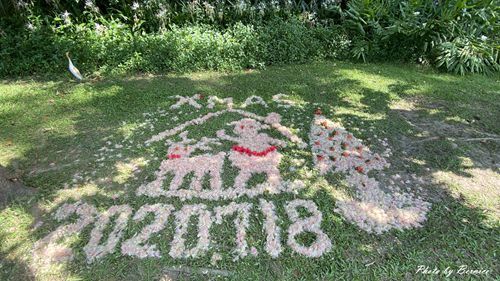 0718 碧湖穗花06.jpg