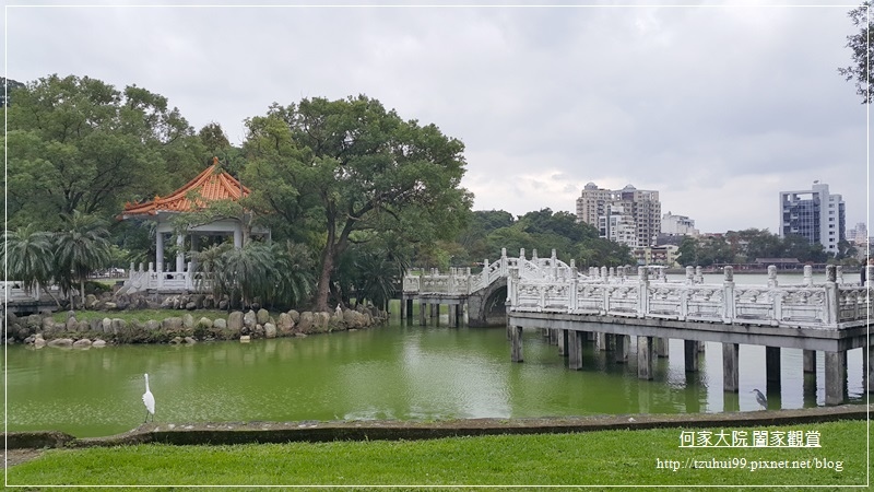 台北內湖碧湖公園 10.jpg