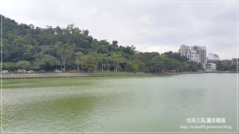 台北內湖碧湖公園 05.jpg