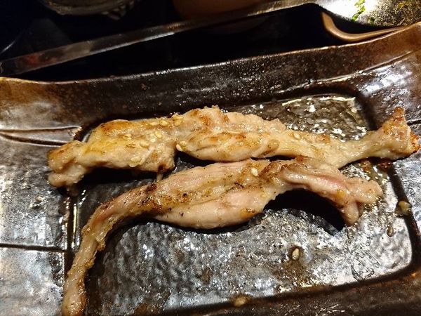 16114948_1385008491530836_4580716463110715257_n (1)