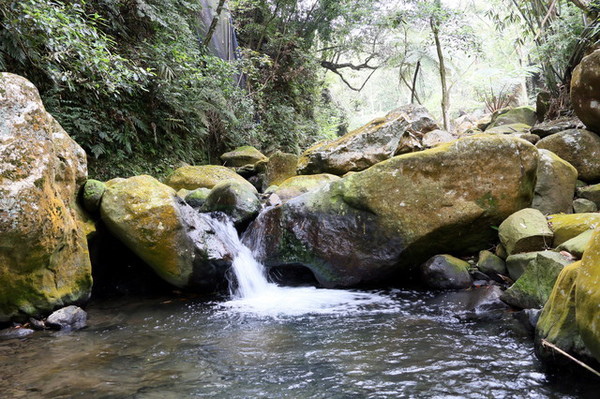 福田園 (14) 福田園 (14)