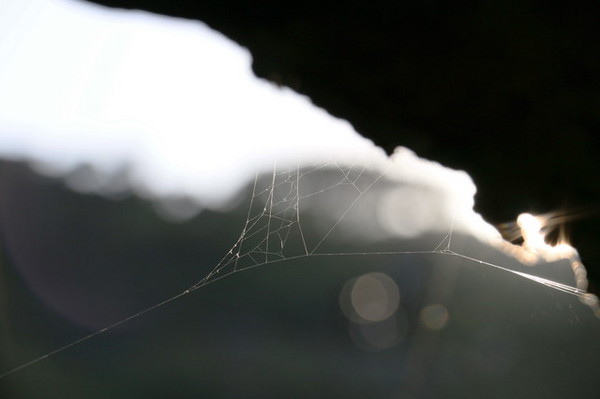 福田園 (29) 福田園 (29)