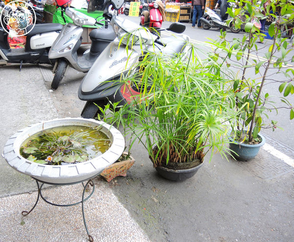 古鼎茗茶青草茶:呷飽祙【彰化員林・古鼎茗茶青草茶】天然耶尚好 古鼎茗茶青草茶:呷飽祙【彰化員林・古鼎茗茶青草茶】天然耶尚好