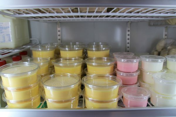 日月山景休閒農場:【彰化景點】日月山景休閒農場/牽手小路/免門票/鮮乳製品/可愛小動物/烤肉DIY生態導覽活動/兒童遊憩區/親子旅遊