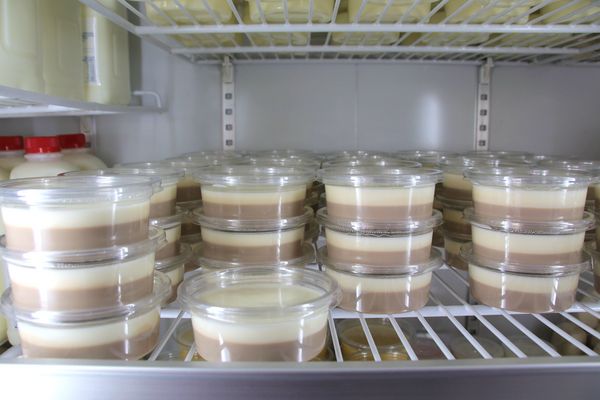 日月山景休閒農場:【彰化景點】日月山景休閒農場/牽手小路/免門票/鮮乳製品/可愛小動物/烤肉DIY生態導覽活動/兒童遊憩區/親子旅遊