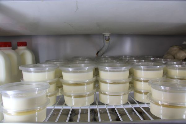 日月山景休閒農場:【彰化景點】日月山景休閒農場/牽手小路/免門票/鮮乳製品/可愛小動物/烤肉DIY生態導覽活動/兒童遊憩區/親子旅遊