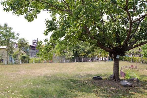 日月山景休閒農場:【彰化景點】日月山景休閒農場/牽手小路/免門票/鮮乳製品/可愛小動物/烤肉DIY生態導覽活動/兒童遊憩區/親子旅遊