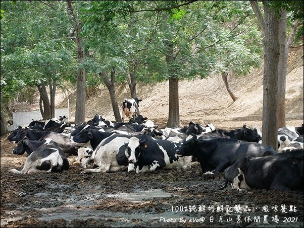 日月山景休閒農場-11.jpg