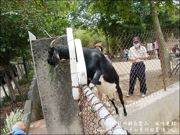 日月山景休閒農場-19.jpg