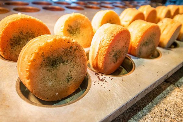 【林口美食】千葉火鍋林口尊爵館-超過百樣食材無限量吃到飽只要399元+10%起!絕無僅有的超實惠價格