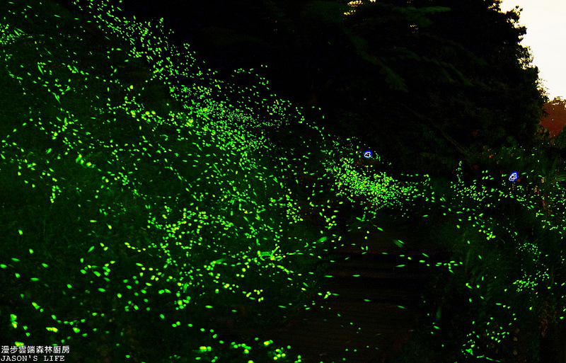 DSC_0460_1_2_3_4_tonemapped-001