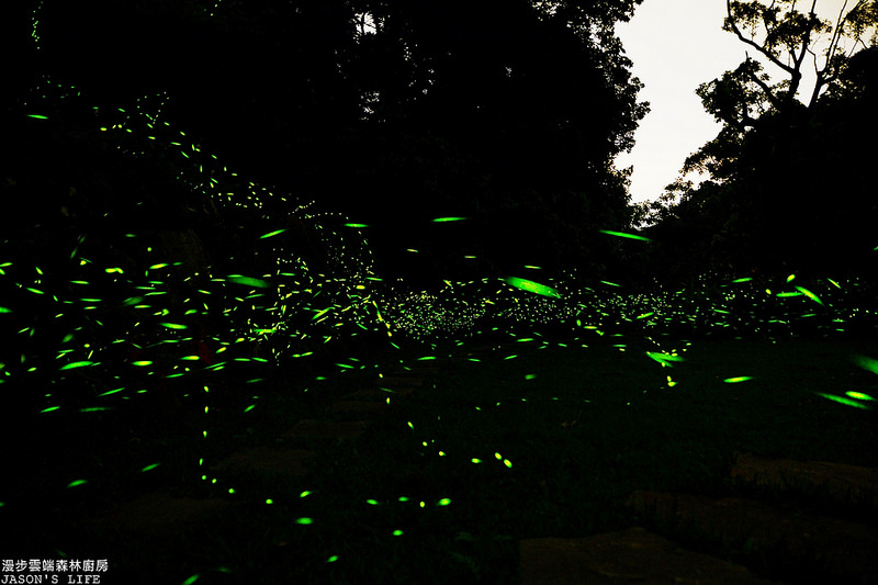 DSC_0440_1_2_tonemapped-002