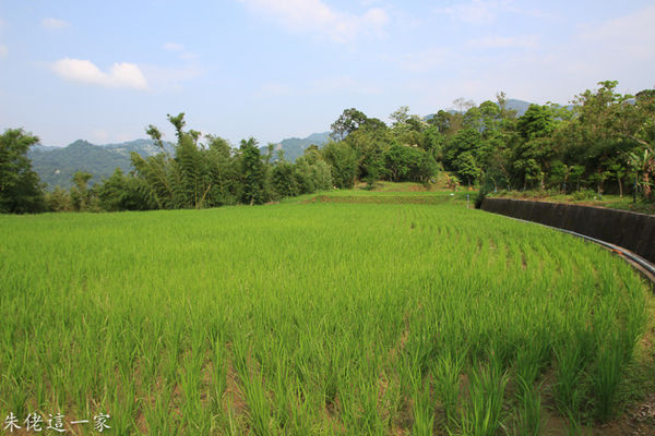 IMG_0529.jpg IMG_0529.jpg